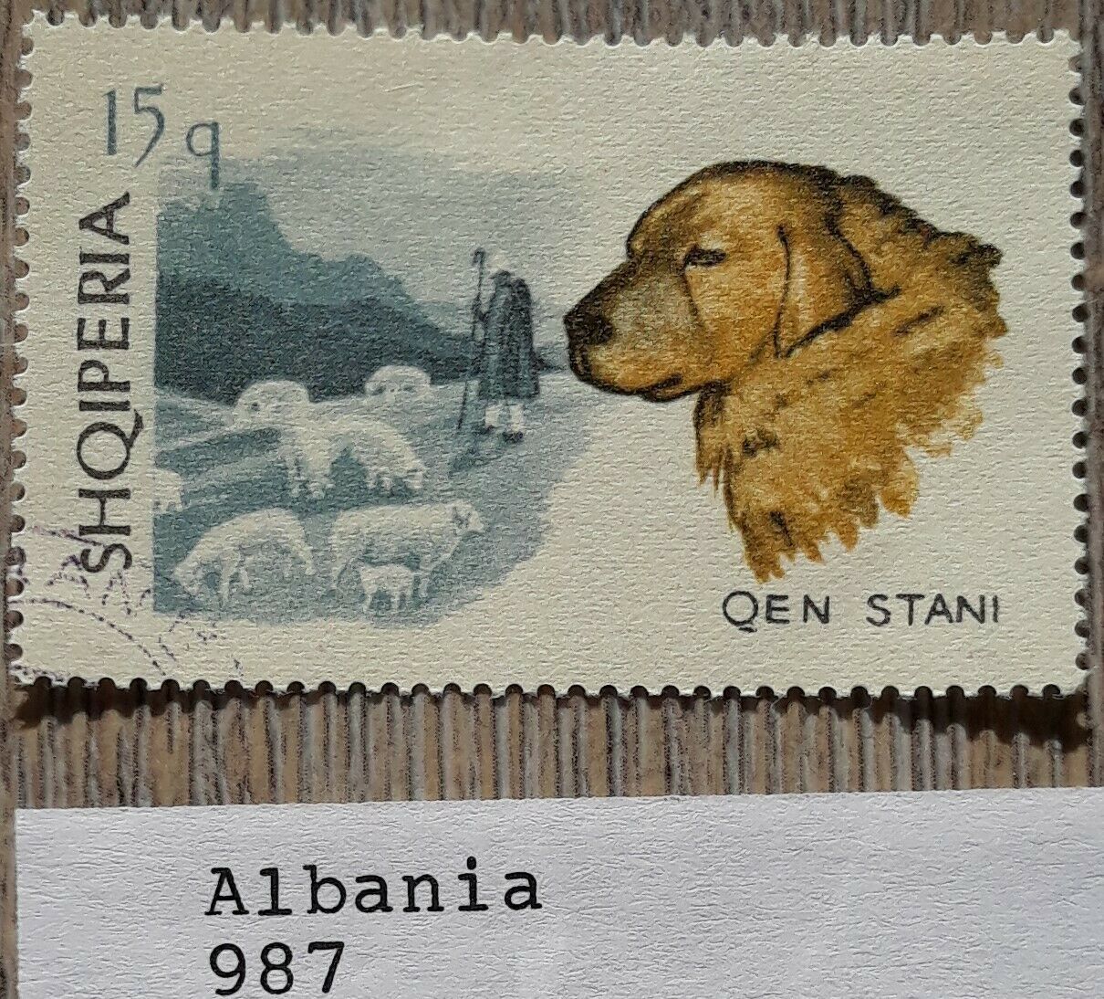 Albania Stamp Dogs 1966 No 987